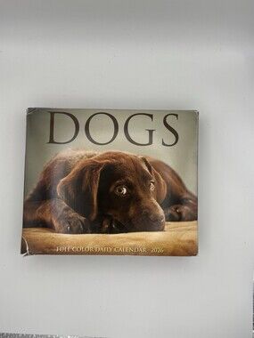 Dogs 2026 Full Color One-A-Day Desk Calendar – NEW Daily Tear-Off Calendar